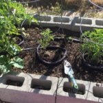 A Garden That Does the Work For You