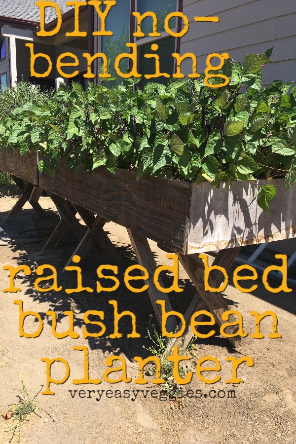 tabletop raised bed bean planter DIY