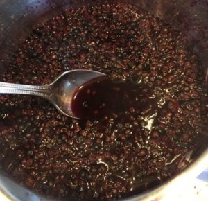 cooking Wild Elderberries - The Very Easy Veggie Garden