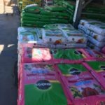 Demystifying Dirt: Choosing & Preparing Soil for Your Garden