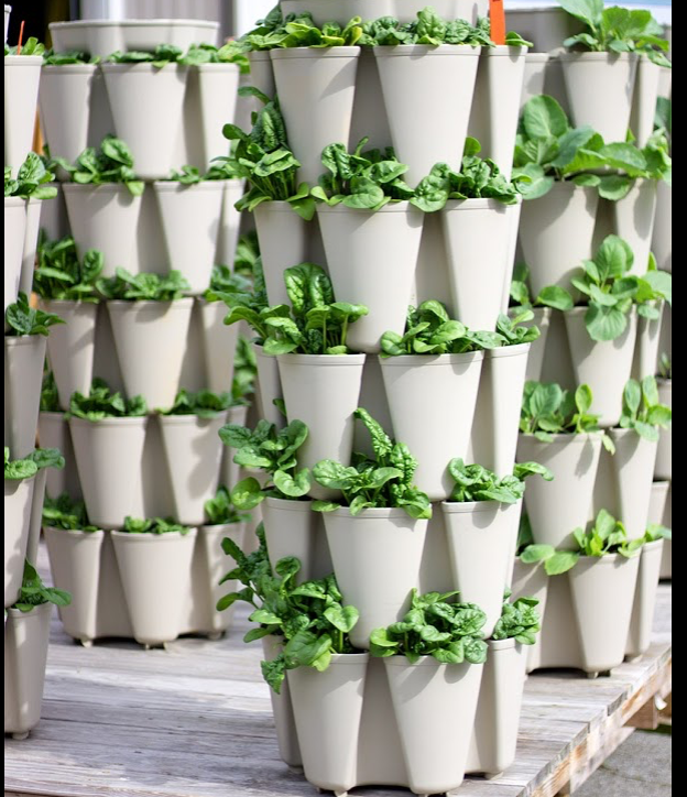 Genius Vertical Gardens Greenstalk vs. Garden Tower ⋆ The Very Easy