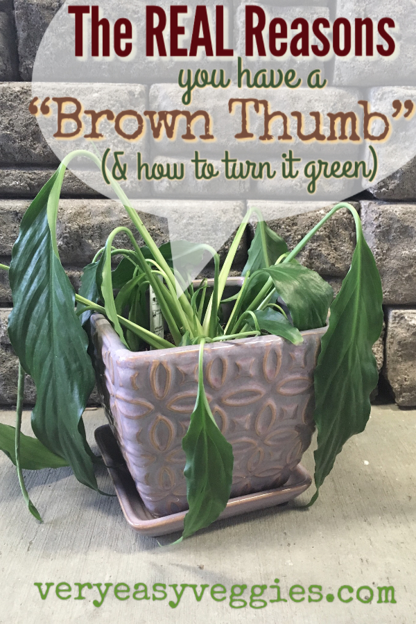 The real reasons you have a brown thumb, and how to fix a black thumb!