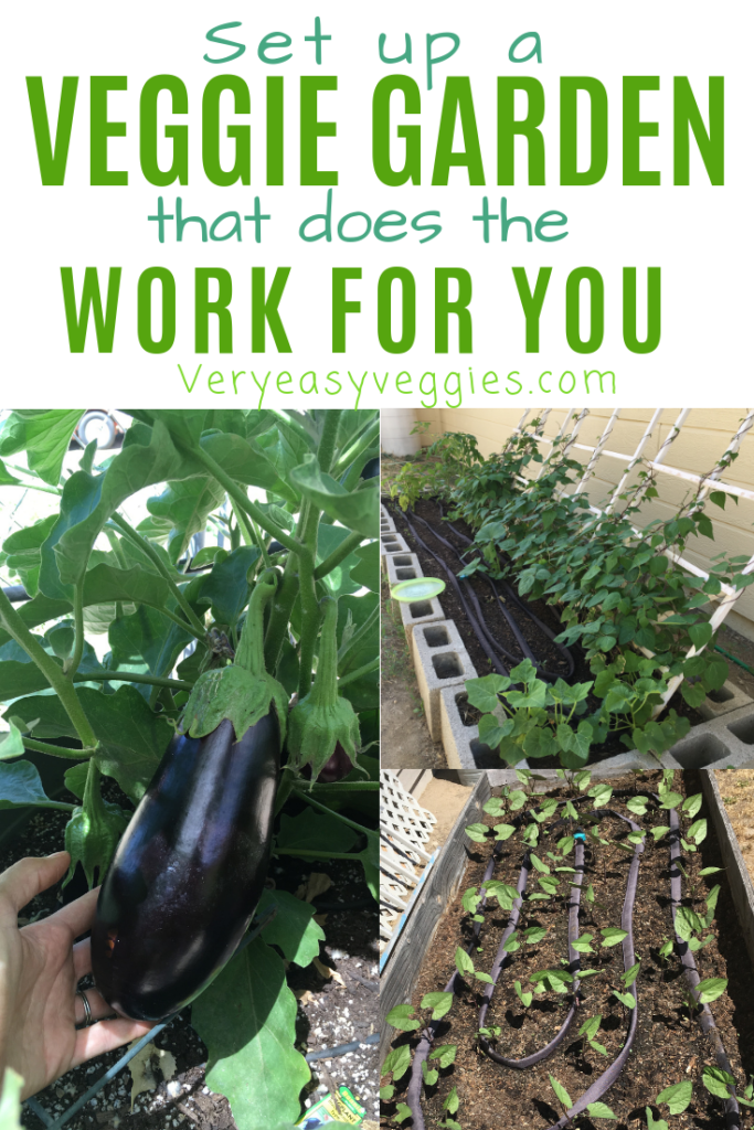 Think you don't have time to grow vegetables? Learn how to start a vegetable garden for beginners that does the work for you... all you have to do is watch and harvest!