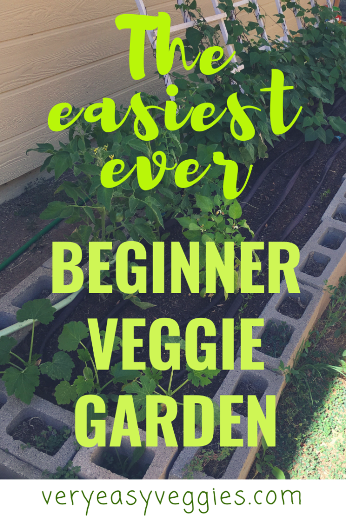 Learn how to set up a super easy beginner vegetable garden with these time-saving tips 
